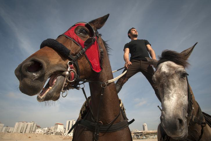 غزة تحتضن بطولة لقفز الحواجز بالخيول - سما الإخبارية