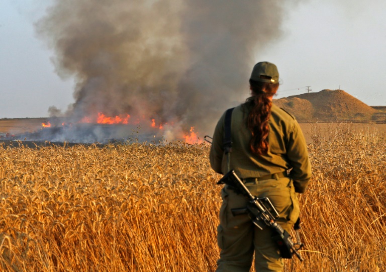 خطة لحماية محاصيل القمح في مستوطنات غلاف غزة من الطائرات والبالونات الحارقة - سما الإخبارية