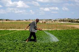 غزة: توصيات باستخدام المياه الممغنطة في عملية الري للتخلص من الملوحة