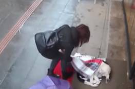 فيديو.. فتاة تغطي كلبا بوشاحها لتحميه من البرد