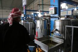 الزراعة بغزة: لن نسمح باستيراد زيت الزيتون لحين انتهاء المنتج المحلي