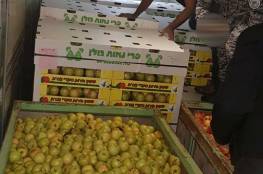 الضابطة الجمركية تضبط 10 طن تفاح مهرب من إسرائيل في الخليل  