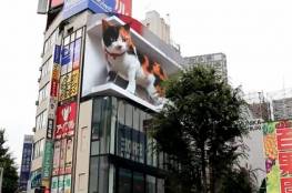 قطّ ثلاثي الأبعاد يجذب الحشود في طوكيو