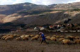 الاحتلال يعتقل راعي ماشية لبنانيا بزعم "اجتيازه الحدود عمدا"