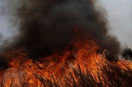 مستوطنون يحرقون محاصيل زراعية في بيت دجن شرق نابلس