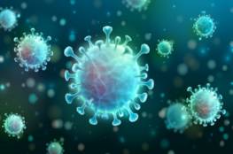 ما الذي يجعل فيروس كورونا المستجد شديد العدوى؟