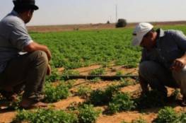 زراعة غزة تُصدر تنويهًا مهمًا حول المنخفض الجوي القادم