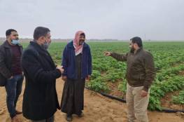زراعة غزة: الاحتلال يستهدف طواقمنا