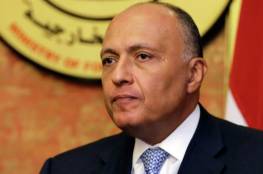 وزير الخارجية المصري يتوجه إلى الدوحة حاملا رسالة من السيسي لأمير قطر