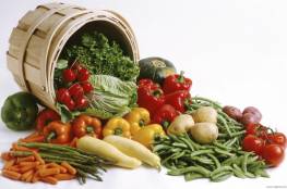 وزارة الزراعة بغزة توضح اسباب انخفاض اسعار الخضروات