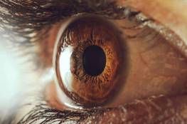 دراسة : أصحاب حدقة العين الكبيرة أكثر ذكاء