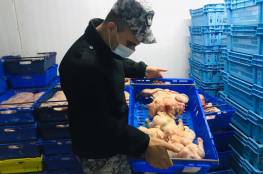 الضابطة الجمركية تضبط طن ونصف دجاج لاحم مهرب من إسرائيل في طولكرم 