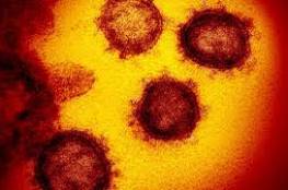 انتقال فيروس كورونا "المتحور" الى فرنسا واليابان