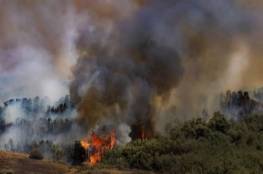 مستوطنون يضرمون النار في أراضي عينابوس جنوب نابلس