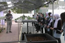 مشروع للزراعة المائية الحديثة الخالية من السموم في مدارس بيت لحم
