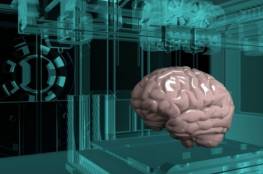 تقنية مبتكرة لاستنساخ المخ والرئتين