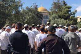 القدس: مستوطنون يجددون اقتحاماتهم للمسجد الأقصى