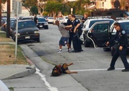 فيديو صادم: ضابط شرطة يقتل كلب بالرصاص و يثير غضب الملايين