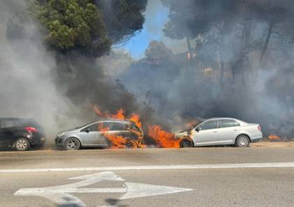 اندلاع حريق بسيارات وحرش قرب جامعة حيفا (فيديو)