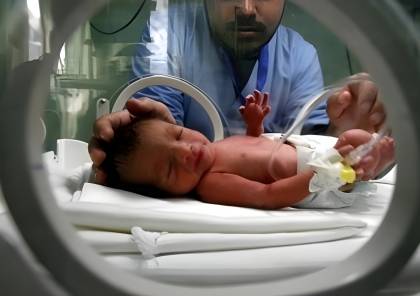 إحصائية: قطاع غزة يُسجل 4462 مولوداً جديداً خلال نوفمبر