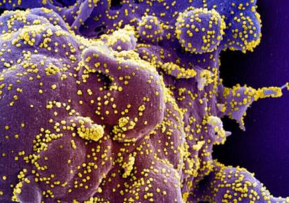 باحثون إسرائيليون يكتشفون متحوراً جديداً من فيروس "كورونا"