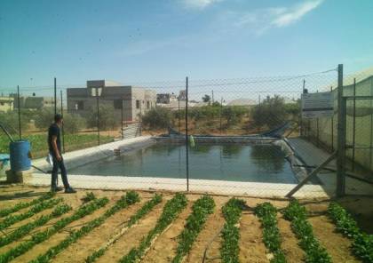 "الإغاثة الزراعية" تُنشئ بركاً لتجميع مياه الأمطار في خانيونس ورفح