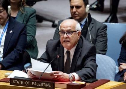 "المجموعة العربية" تطالب مجلس الأمن بالوقف الفوري للعدوان على غزة