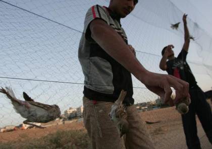 قوات الاحتلال تستهدف صيادي العصافير وسط القطاع بالرصاص وقنابل الغاز