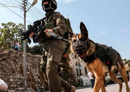 الاحتلال الإسرائيلي يطلق كلبا بوليسيا على مسنة فلسطينية في جباليا (شاهد)