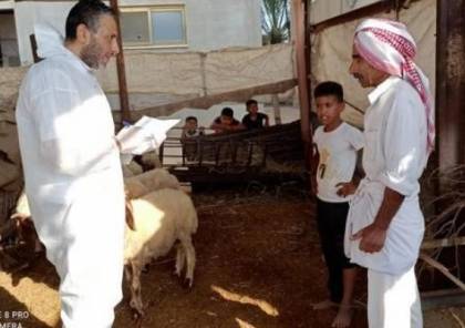 زراعة غزة تشرع بحملة للتطعيم ضد مرض "الحمى المالطية"