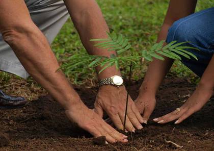 طولكرم تنظم فعالية لزراعة الأشجار في يوم النظافة العالمي 