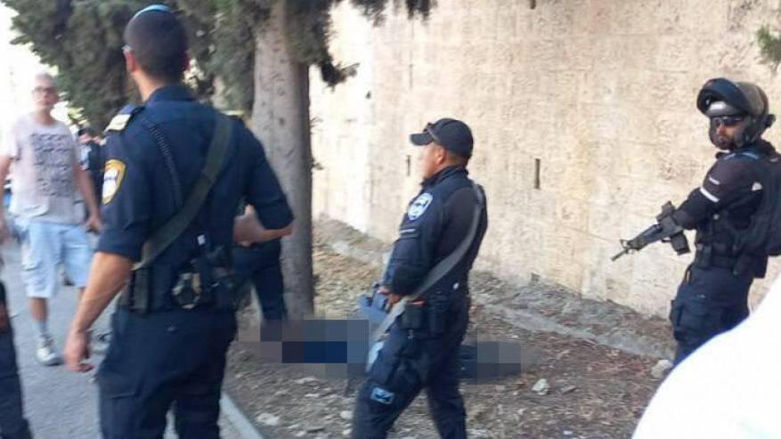 SJVxaNNn9_0_305_720_405_0_x-large