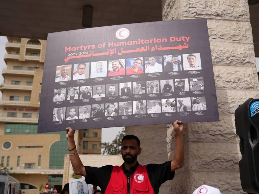 photo_2025-04-23_14-55-59