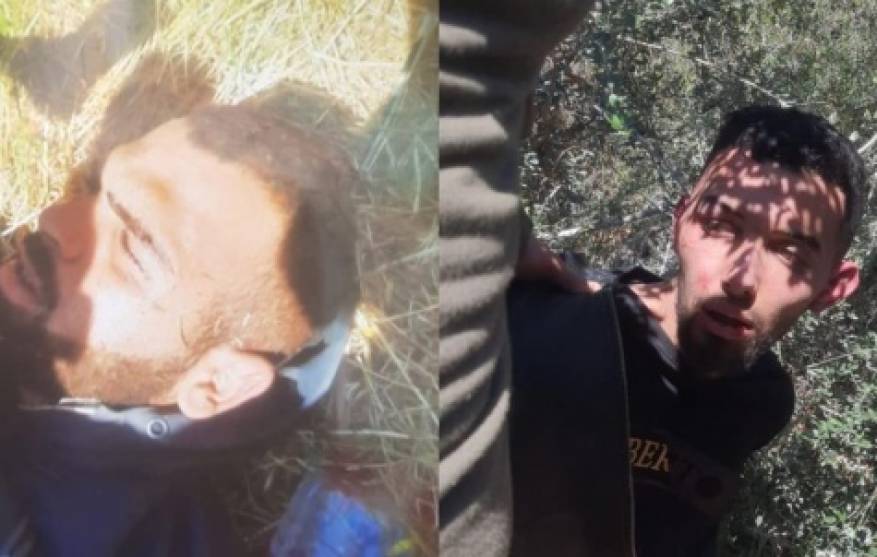 imgid-73979-b-1652001024