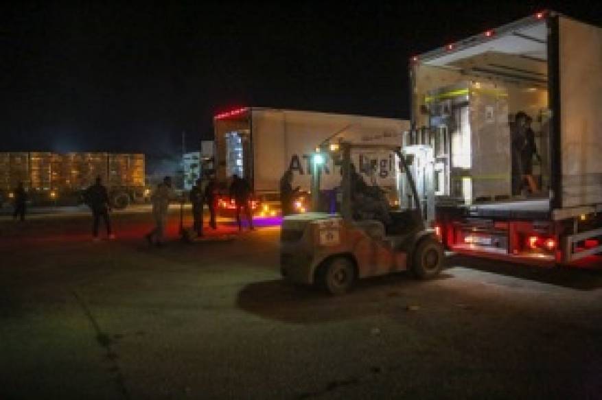 44DBE7A0-1326-4A7E-96C3-CF2D9E597830