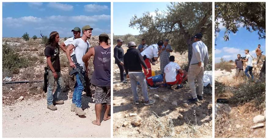 سلفيت مستوطنين-a2515153-e604-43ea-910d-55f125f5e5e3