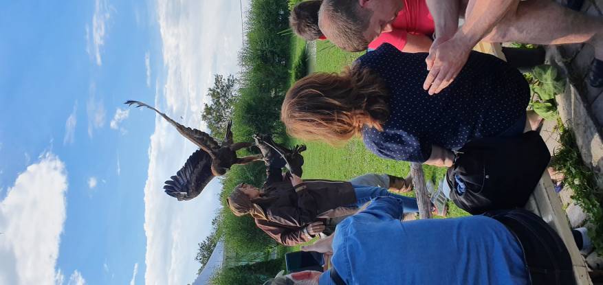 F5600572-C502-4426-96FF-030239F08108