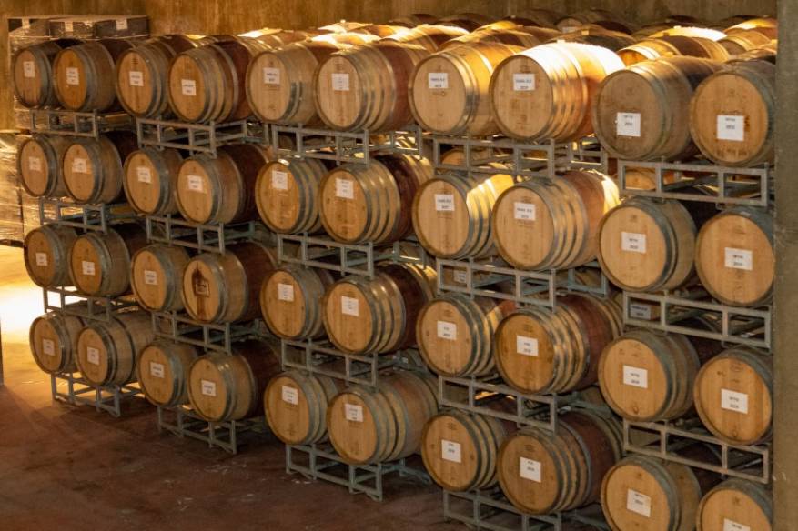 enmlwbwweaex8yt-1605805830