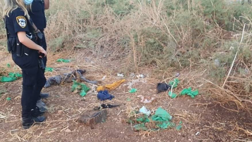 F8FE2DE2-15C9-40F7-AE8C-E660049A0A39