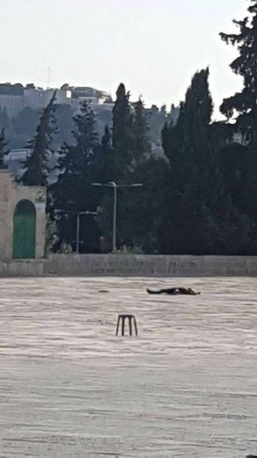 عملية الاقصى 5