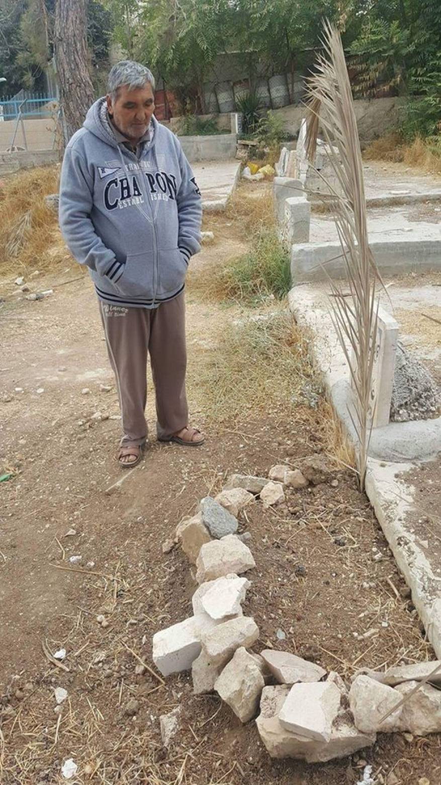 25463556_1519271531493364_878588886_n