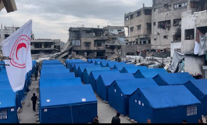 photo_2025-02-12_15-21-33