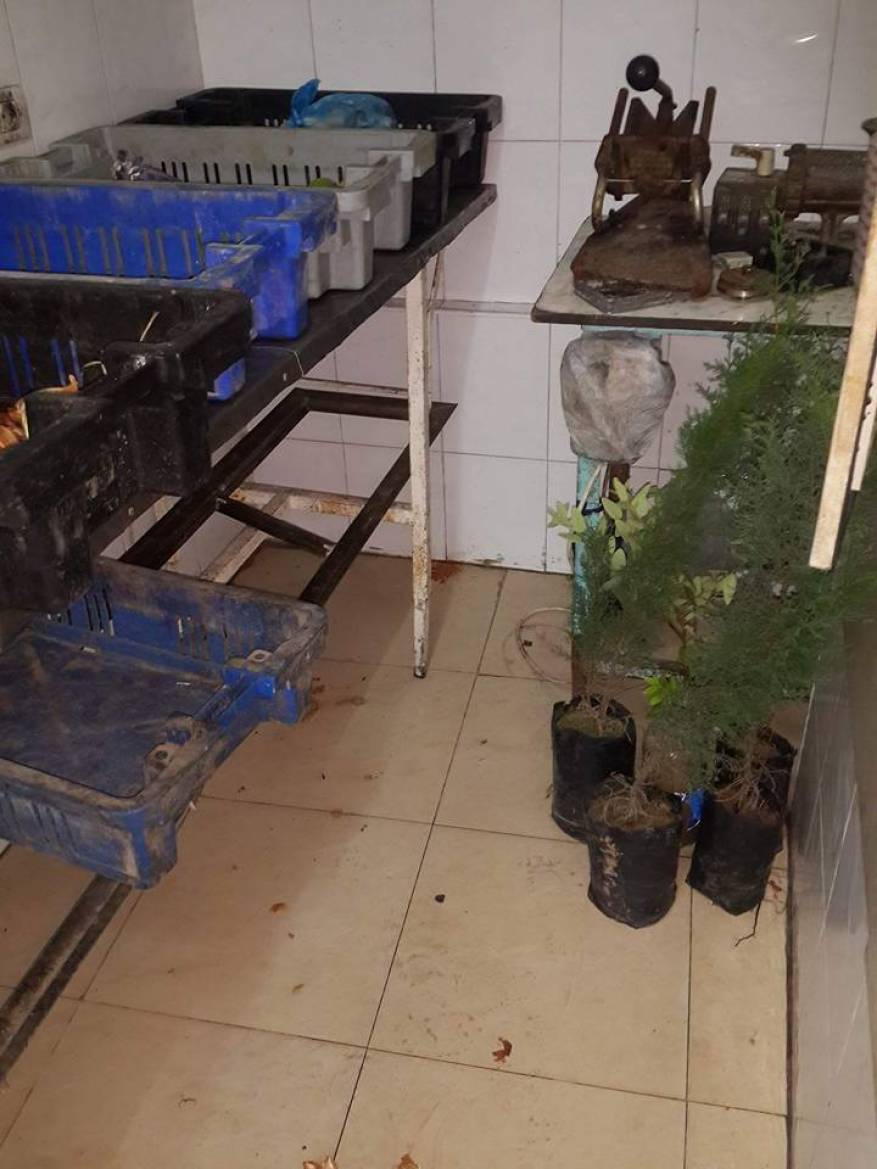 c73b2eb889986d07dad323c9a70776ab