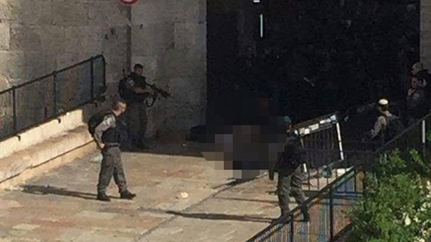 photo_2017-03-29_15-02-28big