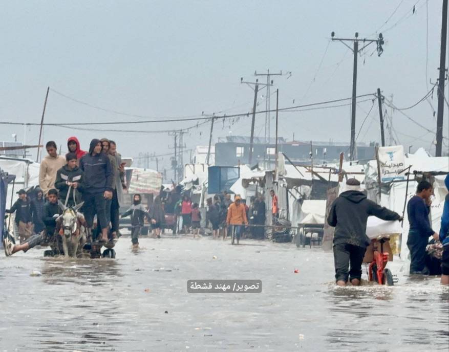 ea8095dc-973c-4337-88fd-c6b66e70857b