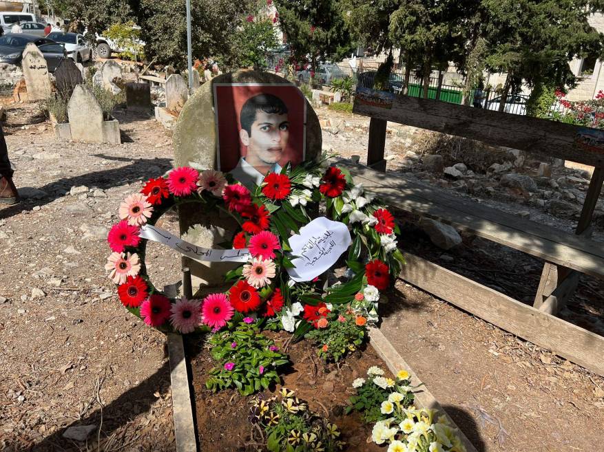 ----------------------------------------------