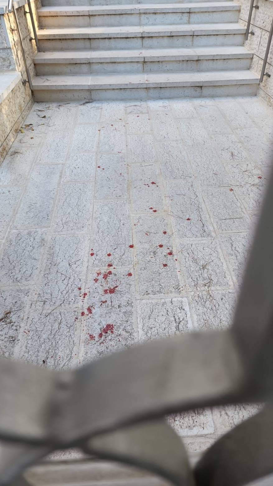 6BCC4900-476F-4EB1-BBD9-7A88CEB87970