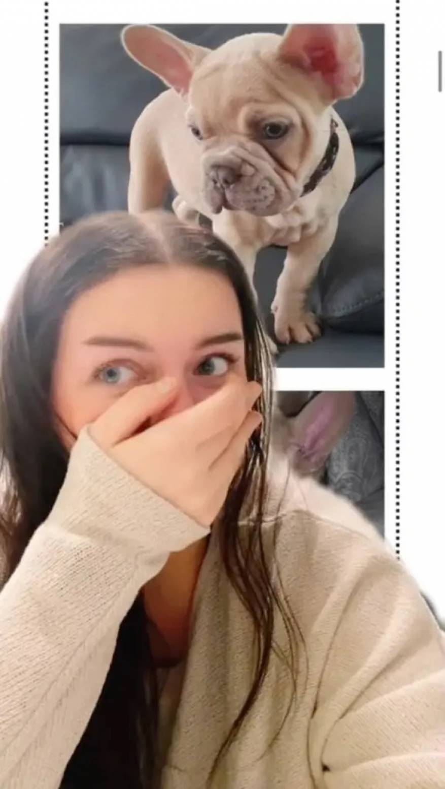 64e19e1a4236043e4f5de1f2