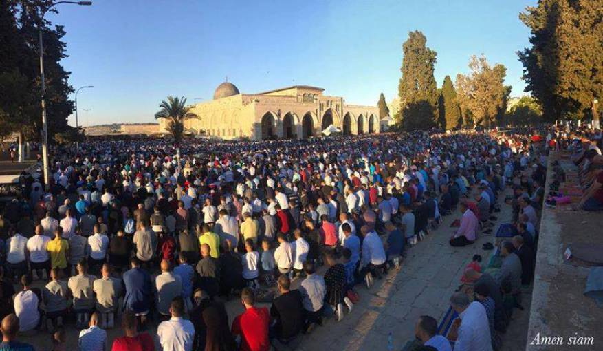 19400176_1973814439327633_347245332578943723_n