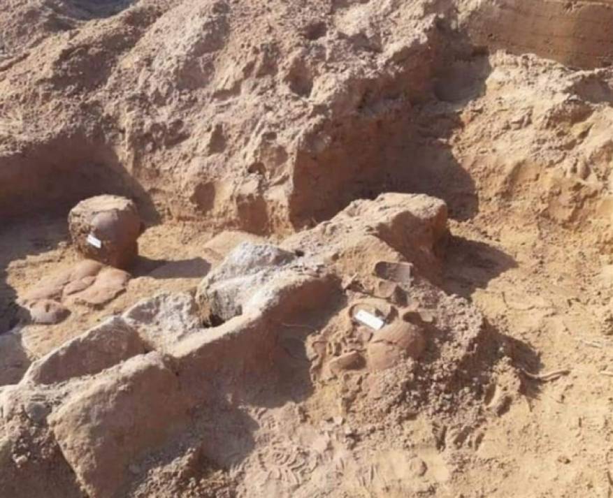 C0E69637-6DDD-4357-9F39-01CDFD4F7D6D